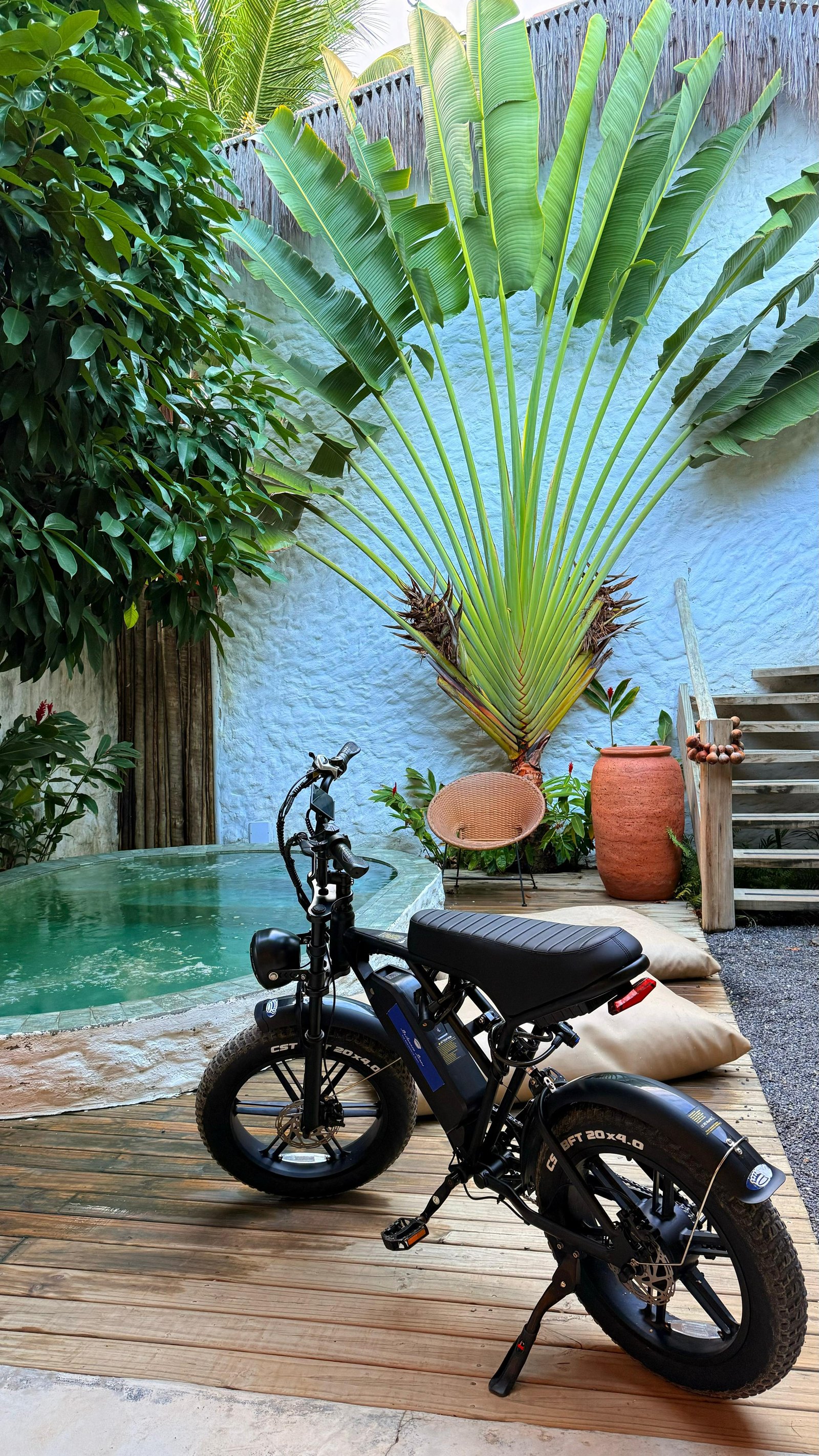 Bike em varanda com piscina e palmeira