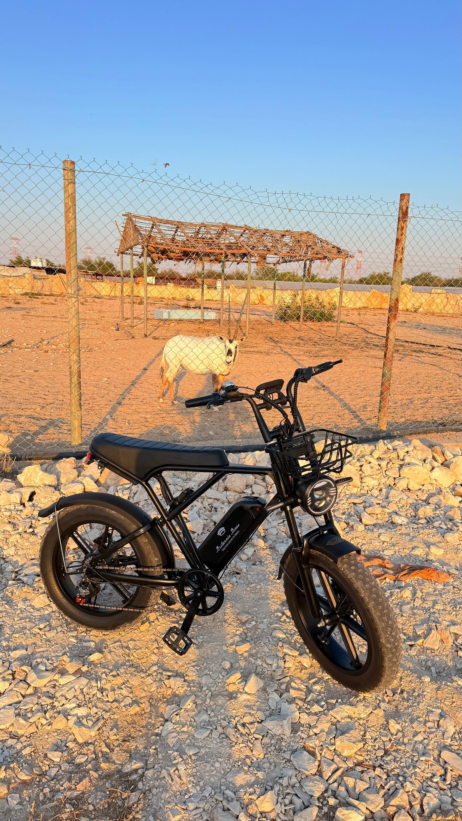 Britannia Bikes na praia ao pôr do sol com logo